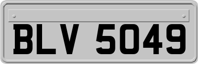 BLV5049