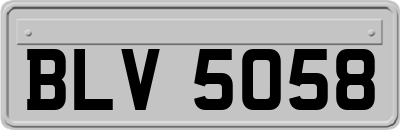 BLV5058