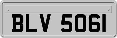 BLV5061