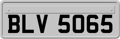 BLV5065
