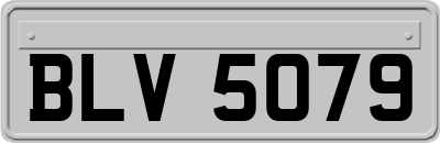 BLV5079