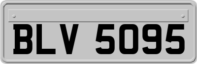 BLV5095