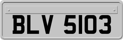 BLV5103