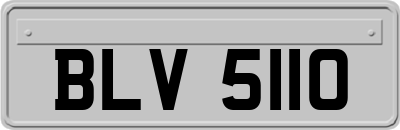 BLV5110