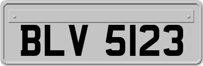 BLV5123