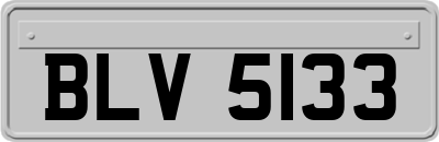 BLV5133