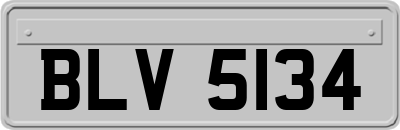 BLV5134