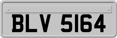 BLV5164