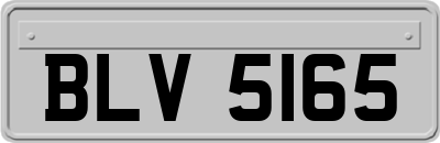 BLV5165