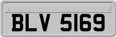 BLV5169