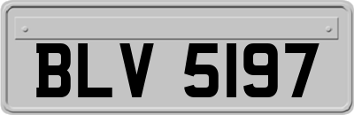 BLV5197