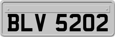 BLV5202