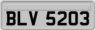 BLV5203
