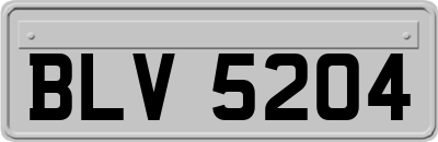 BLV5204