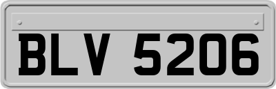 BLV5206