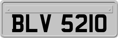BLV5210