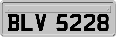 BLV5228