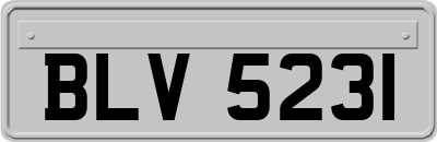 BLV5231