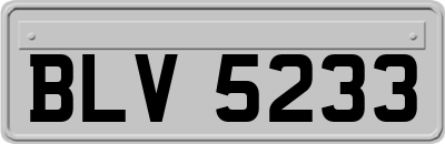 BLV5233
