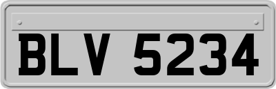 BLV5234