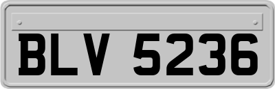 BLV5236