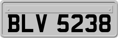 BLV5238