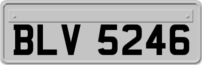 BLV5246