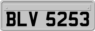BLV5253