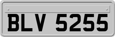 BLV5255