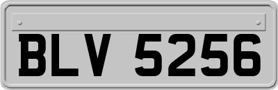 BLV5256