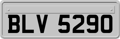 BLV5290