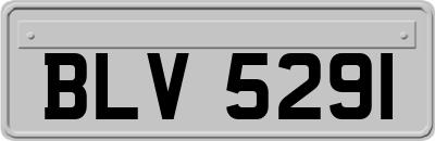 BLV5291