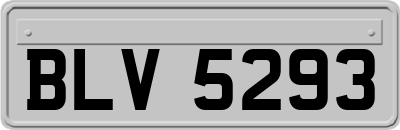 BLV5293