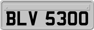BLV5300