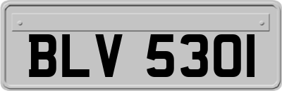 BLV5301