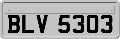 BLV5303