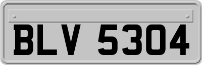BLV5304
