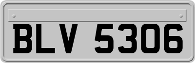 BLV5306
