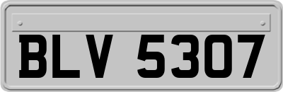 BLV5307