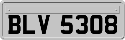 BLV5308