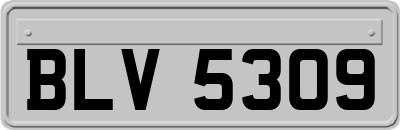 BLV5309