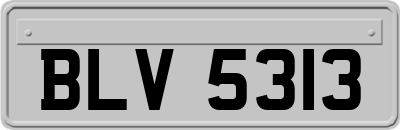 BLV5313