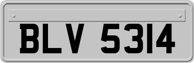 BLV5314