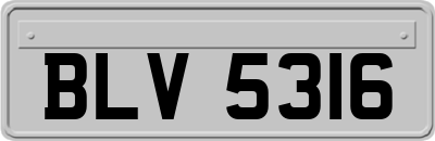 BLV5316