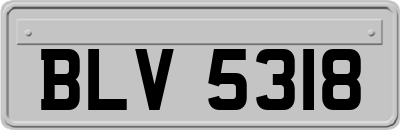 BLV5318