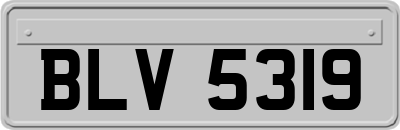 BLV5319