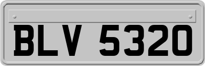 BLV5320