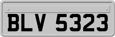 BLV5323