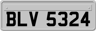 BLV5324