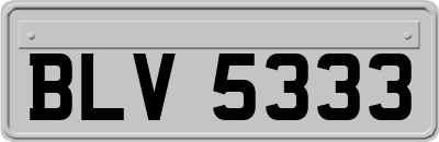 BLV5333